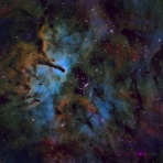 ninzyaの星見
