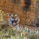 2026年2月の読書