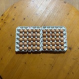 『感謝の気持ち！』の画像