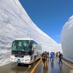 もう貴女とは暮らせない
