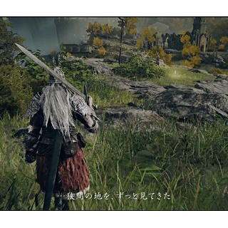 『【悲報】Switch2版エルデンリングのグラフィックがクソすぎると海外で話題にWWWWWWW WWWWWWW』の画像