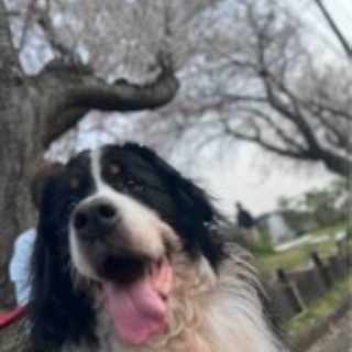 幸せになろうね♪