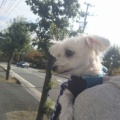 もうテラス席は寒い(~O~;)の事。