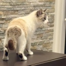 Qちゃん明日からトライアルへ