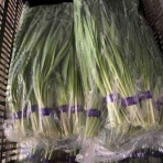 志津駅前　八百屋さん