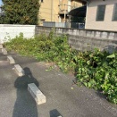 草刈り