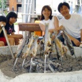 Healing Garden 変え続ける