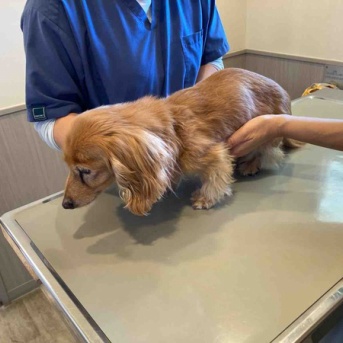 ごめんなさい。今日撮った写真はこれだけです。