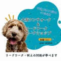 3/28　大阪ワンウォーク＆リードワークワークショップのお知らせ