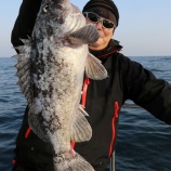 『４月２９日　釣行　ロックフィッシュ』の画像
