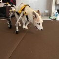 静かな一日