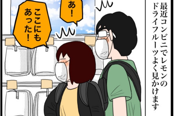 これからの季節に最適 レモンのドライフルーツ のんびり夫婦の日常 大阪から長野に移住しました これからの季節に最適 レモンのドライフルーツ のんびり夫婦の日常 大阪から長野に移住しました