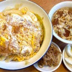 たぬきパラダイス