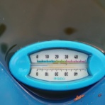 温泉めだかのブログ