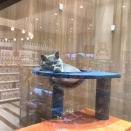 今日のにゃんこ