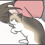 おそらくその平凡こそ幸せ　猫と私と家族の日常