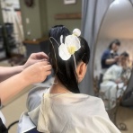 おけいこスペース.comきものと猫のblog