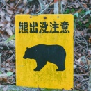 本日は伊吹山山麓山室湿原の花と伊吹山の花探しだ、２０度らしい。