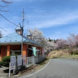 『家族旅行村の山登り』の画像