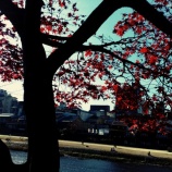 『続ける力』の画像