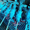 岡山　アマゴ＆肉BBQ♪《日名倉養魚場》