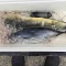 マグロチャレンジ振り返り