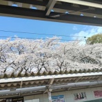 50代、「眠れる社労士資格」の覚醒ブログ｜大企業勤務30年・3児の母、私だけのキャリア・人生再構築。