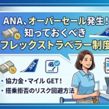 『ANA、オーバーセール時の対応は？フレックストラベラー制度と補償内容』の画像
