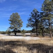 義兄が救急車で