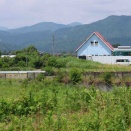 懐かしのあの〇〇電車見てきた