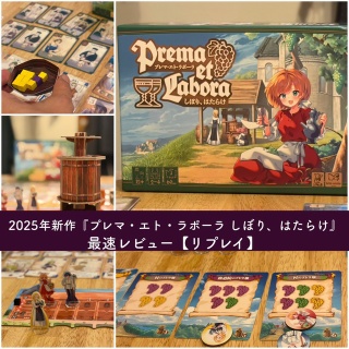 ある元心理カウンセラーのボードゲーム日記