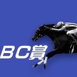 『ＣＢＣ賞(G3)データからの推奨馬』の画像