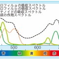 P18　光合成に使われる光の色