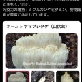 ブレイン・シールド ～山伏茸で現代社会をサバイバル～