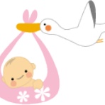 DTPもわかるWebアドバイザーの業務日誌