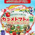 カゴメのトマトの苗キャンペーンみっけ