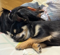 支援学級の通知表が凄い！◆2学期が無事に終了〜