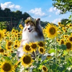 メロディ＆ミニーの写真館
