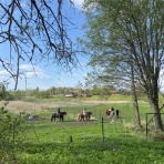 湖畔 de まったりdiary