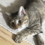 真夜中のハピネス
