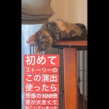 『[イコラブ] 指原莉乃P　ごろう・かんたろうの動画を4本投下！かわいい～【=LOVE(イコールラブ)】』の画像