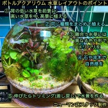 『ボトルアクアリウムの水草レイアウトのポイント』の画像