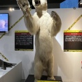 超危険生物展