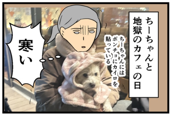 ちーちゃんっ🐾 - わんちゃんホンポ