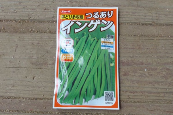 毎日が日曜 晴耕雨読な日々 インゲン