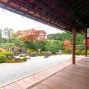 【京都春秋】 2026年秋 京都「大徳寺」「聖護院」特別公開情報  聚光院・黄梅院・興臨院・総見院