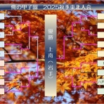 高校野球特集号@俺の甲子園