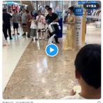 中国製ロボット、女性に回し蹴り攻撃するも足を挫いてみっともなくノックアウト。お亡くなりに