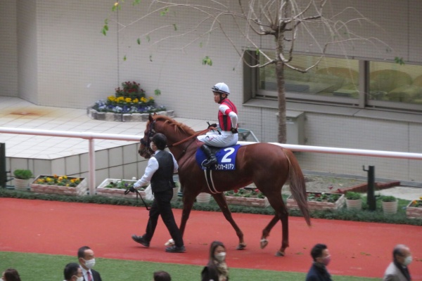 ゆきぞうと愛馬たちの自転車操業中 ラフィアン