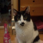 �إ륫�����٤β���